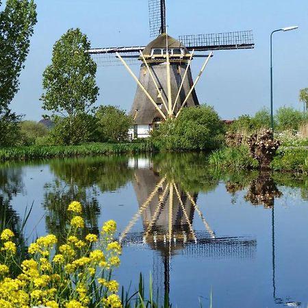 Mondriaanmolen, A Real Windmill Close To Amsterdam 阿布考德 外观 照片