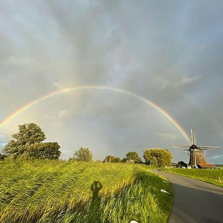 Mondriaanmolen, A Real Windmill Close To Amsterdam 阿布考德 外观 照片
