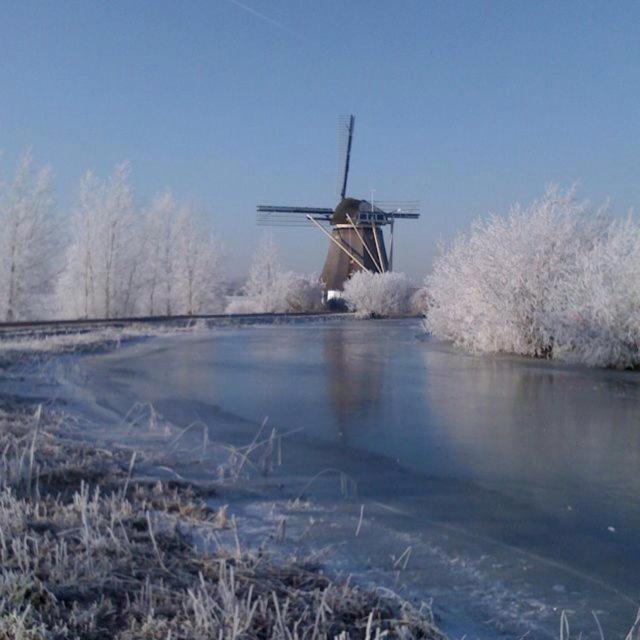 Mondriaanmolen, A Real Windmill Close To Amsterdam 阿布考德 外观 照片