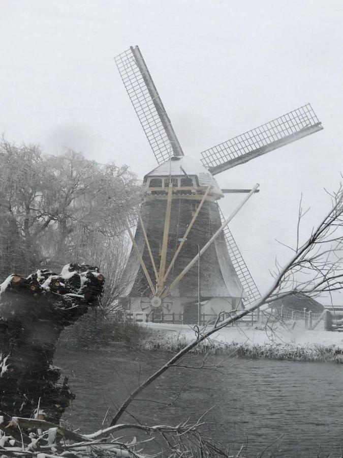 Mondriaanmolen, A Real Windmill Close To Amsterdam 阿布考德 外观 照片