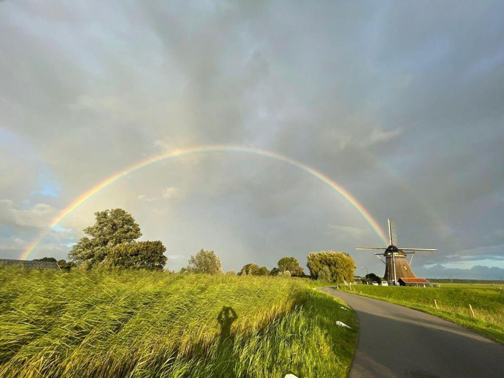 Mondriaanmolen, A Real Windmill Close To Amsterdam 阿布考德 外观 照片